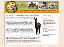 Sweet Blossom Alpaca Farm